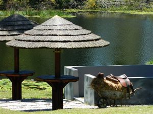 5 ha Farm in Robberg