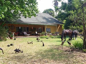 4 Bed House in Glenferness AH