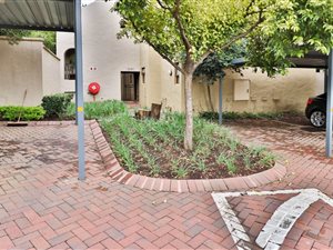 1 Bed Apartment in Morningside
