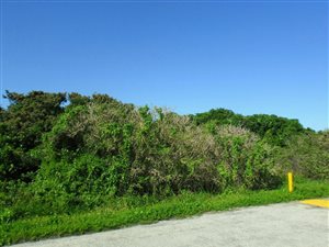 714 m² Land available in Boknesstrand