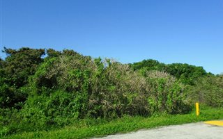 714 m² Land available in Boknesstrand
