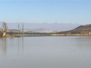 1600 ha Farmland in Winterton