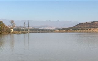 1600 ha Farmland in Winterton