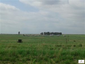 972 ha Farm in Marquard
