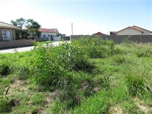 187 m² Land available in Dana Bay