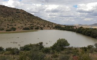 2797 ha Farm in Zastron