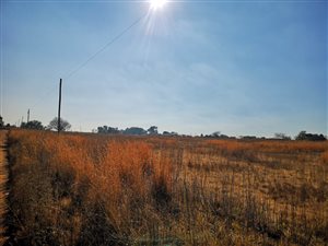 1.5 ha Land available in Sundra
