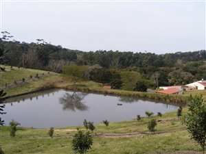 8 ha Farm in Glenmore