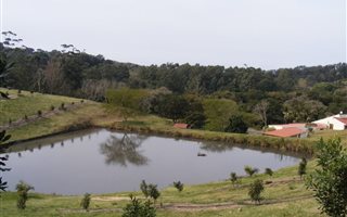 8 ha Farm in Glenmore