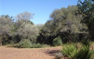 7762 m² Land available in Kshane Lake Lodge