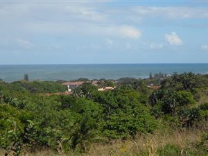 522 m² Land available in Shelly Beach