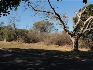 698 m² Land available in Cintsa