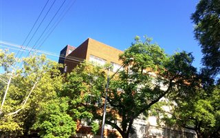 1 Bedroom Flat in Arcadia