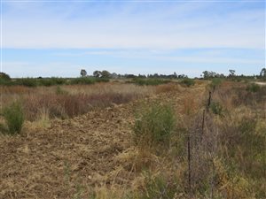 446 ha Farm in Delareyville