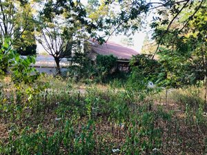 7000 m² Land available in Edenburg