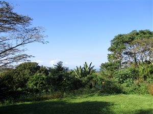 1 ha Land available in Anerley