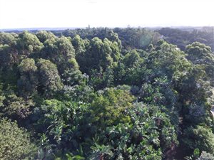 2232 m² Land available in Marina Beach