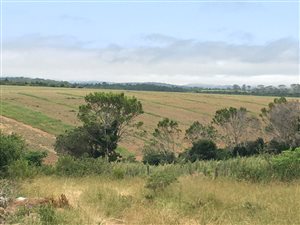 345 ha Farm in Port Alfred