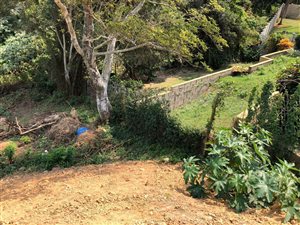 1098 m² Land available in St Winifreds