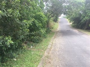 1027 m² Land available in Margate