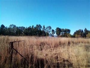 4.8 ha Farm in Deneysville