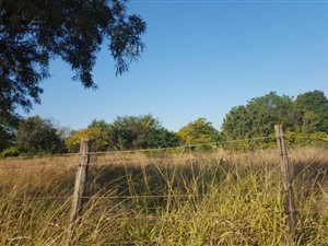 1 ha Land available in Rietfontein