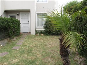 flats to rent in pinelands