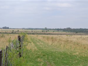 85.2 ha Farm in Fochville