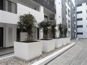 2 Bed Apartment in Rosebank