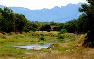 4053 m² Land available in Zandspruit Bush and Aero Estate