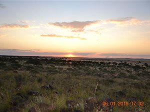 1576 ha Farm in Koffiefontein