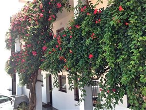 2 Bed Apartment in Wendywood