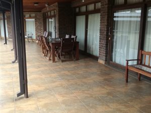 11 Bed House in Aviary Hill