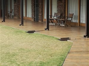 11 Bed House in Aviary Hill