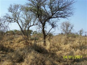 10.6 ha Land available in Northam