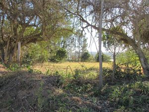 1355 m² Land available in Bathurst and Surrounds