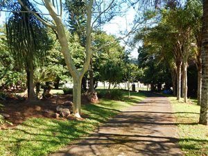 4 Bed House in Kloof