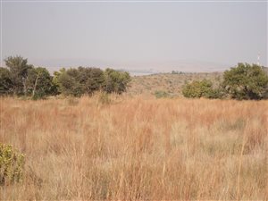 1486 m² Land available in Berg en Dal