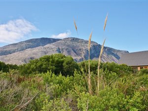 1301 m² Land available in Bettys Bay
