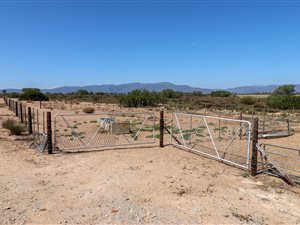 627 ha Farm in Velddrif
