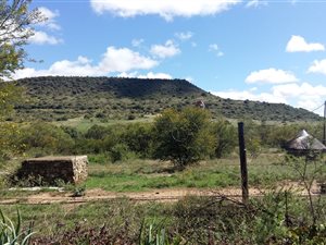 116 ha Farm in Bloemfontein Rural