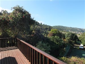 25 ha Farm in Glentana