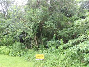 2 ha Land available in Glenmore