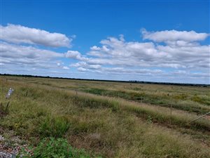 160 ha Farm in Makhado (Louis Trichardt)