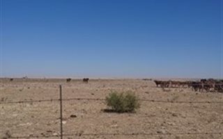 1000 ha Farm in Senekal