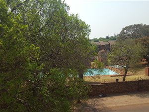 1 Bed Apartment in Windsor East