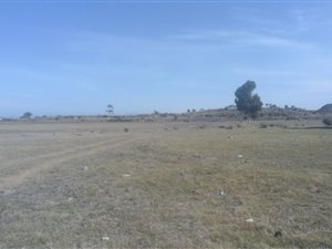 502 m² Land available in Fairview Golf Estate