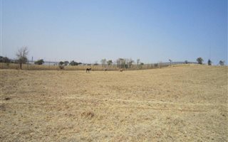 1007 m² Land available in Xanadu