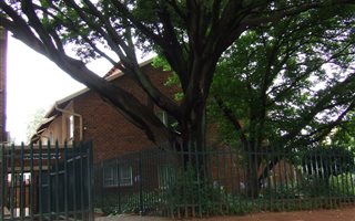 3 Bedroom Apartment in Linden