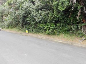 1137 m² Land available in Trafalgar